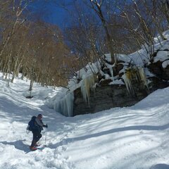 大自然の中で雪上ハイキングを楽しもう！！