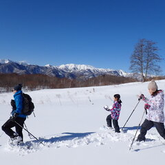 白銀の世界へようこそ！大人も子供も雪にまみれて大はしゃぎ！