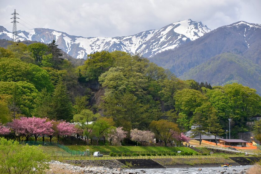 オープニングキャンペーンで無料ランチ付きも002